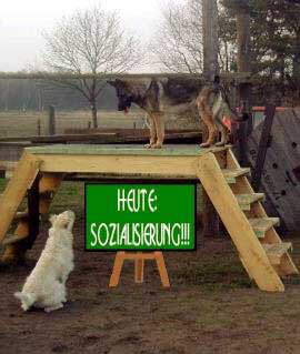 Heute Sozialisierung