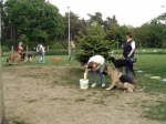 Spiel & Spass mit den Hunden_09